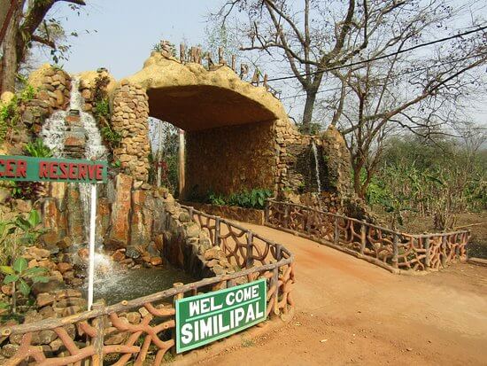 Exploring the Wild Beauty of Simlipal National Park